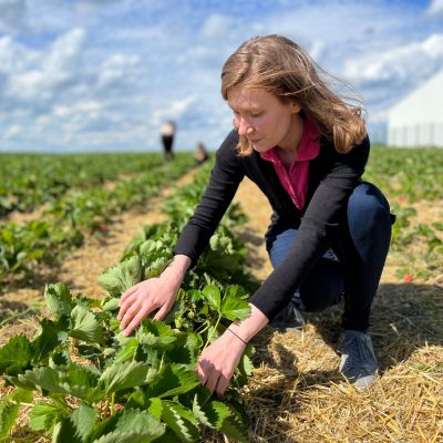 edbeerhof-imager-r3-c2