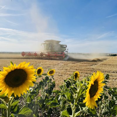 edbeerhof-imager-r3-c7