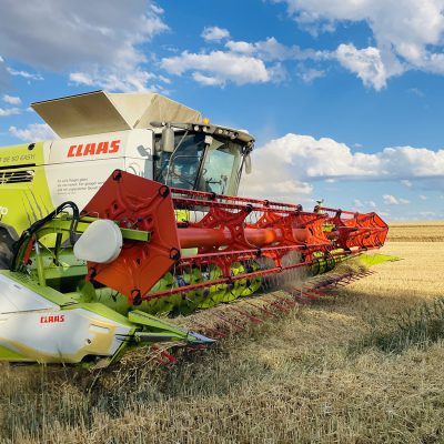 edbeerhof-imager-r4-c1