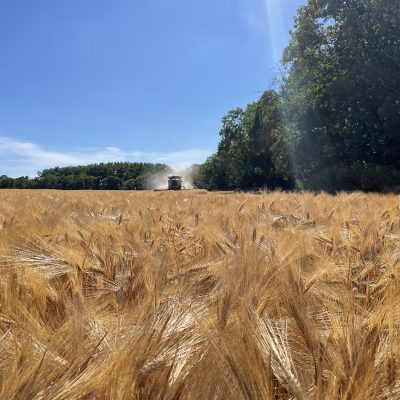 edbeerhof-imager-r4-c2