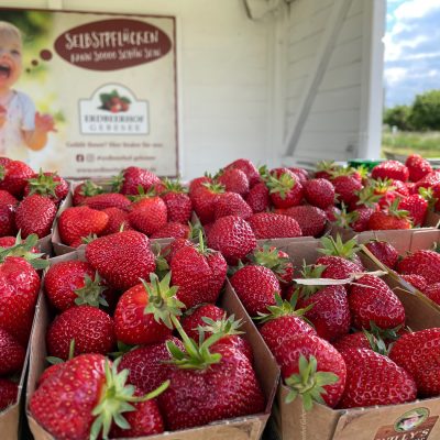 edbeerhof-imager-r4-c4