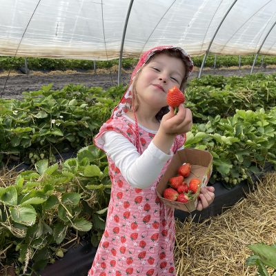 edbeerhof-imager-r4-c5