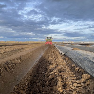 edbeerhof-imager-r5-c6