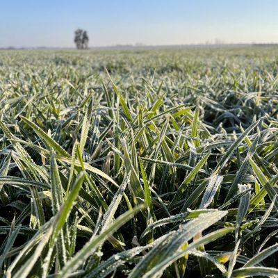 edbeerhof-imager-r5-c7